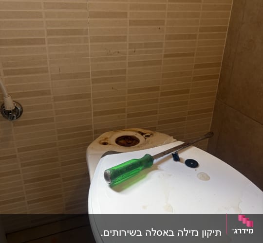 אסלה עם מברג ירוק על המכסה בחדר אמבטיה